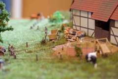 Ausstellung_2010_21