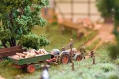 Ausstellung_2010_22