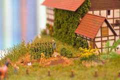 Ausstellung_2010_24